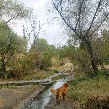 Marco Dog Park